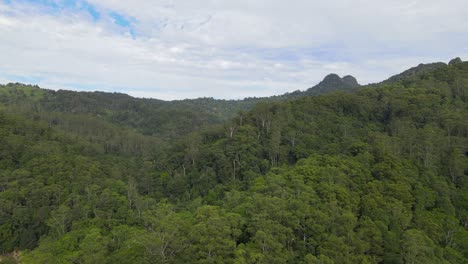 Schöne-Landschaft-Des-Grünen-Regenwaldes-Im-Currumbin-Valley,-Gold-Coast,-Australien