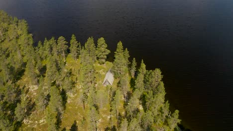 Drohnenblick-Auf-Bäume-Und-See