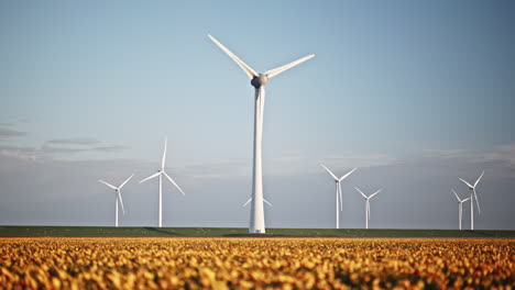 Windkraftanlagen-Drehen-Sich-Tagsüber-Mit-Tulpenfeldern