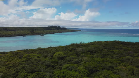 Sweeping-aerial-view-of-columnar-pines-and-Pacific-Ocean,-Lifou,-New-Caledonia
