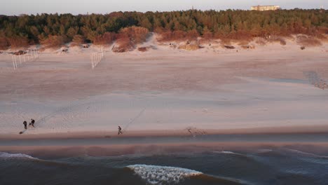 AERIAL:-People-Enjoying-Walk-on-a-Palanga-Beach-in-Early-Spring-Time-During-Golden-Hour-Evening