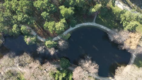 AERIAL:-Beautiful-Park-in-Palanga-with-Pond-Paths-and-Forest