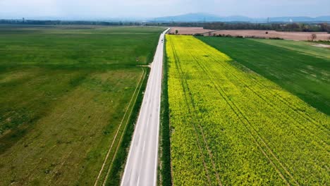 AERIAL---Highway-and-field-of-yellow-flowers,-Baden,-Austria,-wide-shot-rising