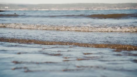 Black-labrador-runs-through-shallow-water-on-beach,-slow-motion
