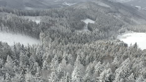 Flying-over-snowy-pine-forest-landscape-in-Czech-mountains,-drone-shot