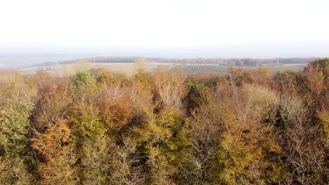 Luftlandschaftsansicht-Von-Herbstlichen-Bäumen-Und-Von-Feldern,-In-Der-Englischen-Landschaft