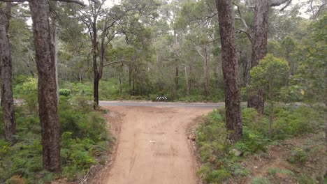 Camera-moving-forward-in-rural-road-until-the-end-of-the-road-in-Boranup-forest