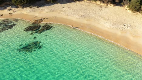 Aerial-shot-of-young-woman-walking-from-sandy-beach-into-clear-emerald-green-water-at-Teurredda-in-South-Sardinia,-Italy-on-sunny-day