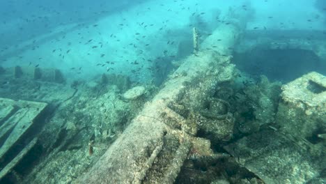Shipwreck-at-bottom-the-sea,-sunken-ship-Michelle,-Dugi-Otok,-Croatia