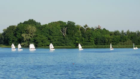White-sailboats-sailing-by-the-green-forest-edge-of-Kolbudy-Village-in-Poland