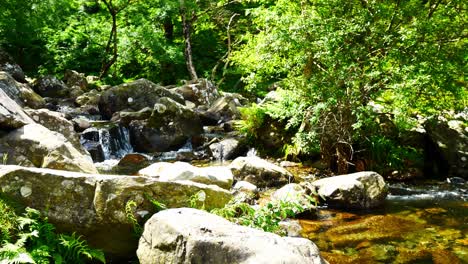 Fresh-splashing-cascading-mini-waterfall-rock-pools-from-mountain-woodland-stream