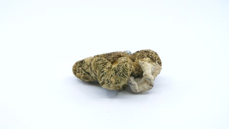 Rotating-magic-mushrooms-on-white-background,-also-known-as-shrooms-or-psilocybin-hallucinogenic-drugs