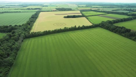 Corn-Circle-In-The-Green-Field-Near-Sutton-Scotney,-Hampshire,-England---aerial-drone-shot