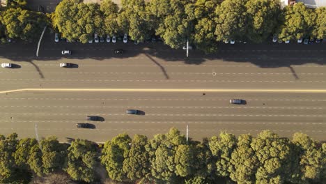Aerial-top-down-flight-over-large-Avenue-with-traffic-surrounded-by-trees-in-Buenos-Aires