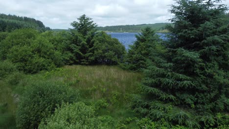 Idyllic-blue-water-reservoir-lake-woodland-hiking-walk-aerial-view-close-between-trees-reveal