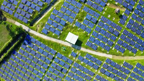 Ascending-top-down-shot-of-large-Photovoltaic-power-station-farm-in-green-landscape-during-sunlight