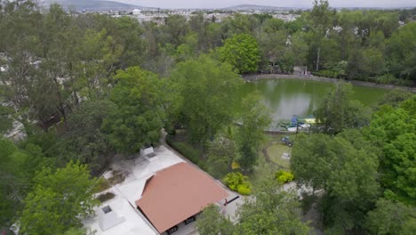 aerial-view-of-a-zoo-lake