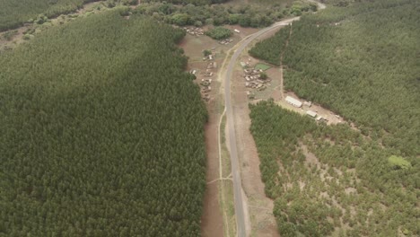 Abholzung-In-Afrika