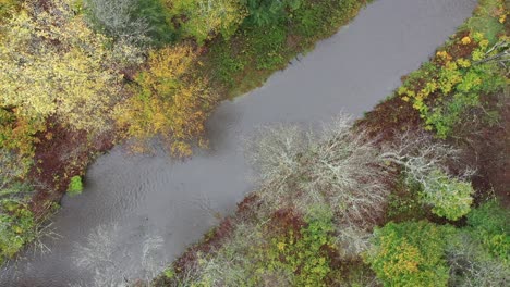 River-in-Autumn-by-aerial-drone
