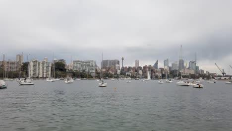 View-Of-Sydney-City-From-Rushcutters-Bay-Park,-Paddington,-NSW,-Australia---wide-shot