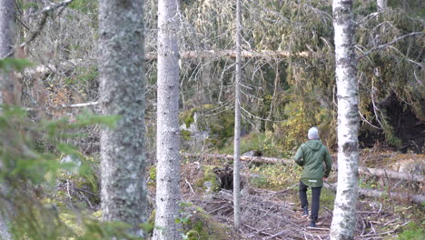 Man-with-green-jacket-and-hat-walking-in-birch-woods
