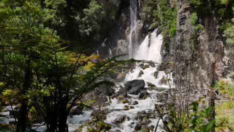Nahaufnahme-Grüner-Farnpflanzen-Und-Großer-Bergwasserfall,-Der-In-Der-Natur-Die-Felswand-Hinunterspritzt--