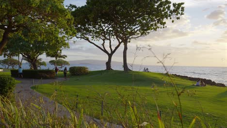 Menschen-Genießen-Einen-Park-Bei-Sonnenuntergang-In-Maui,-Hawaii