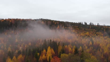 Aerial-view-of-thic-mist-on-top-of-colorful-autumn-forest