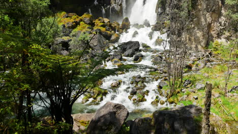 Tilt-down-shot-of-idyllic-waterfall-crashing-down-the-cliff-wall-surrounded-by-green-national-park-in-summer---New-Zealand-Landscape