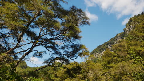 Panning-shot-of-natural-forest-landscape-with-overgrown-mountains-and-blue-sky-in-New-Zealand---Trekking-in-mountains-and-jungle-of-NZ