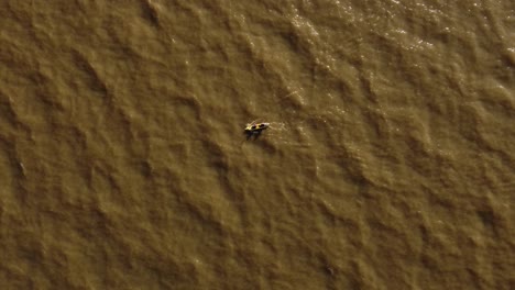 Aerial-birds-eye-shot-of-people-rowing-with-kayak-boat-on-dirty-river-during-sunny-day--4K