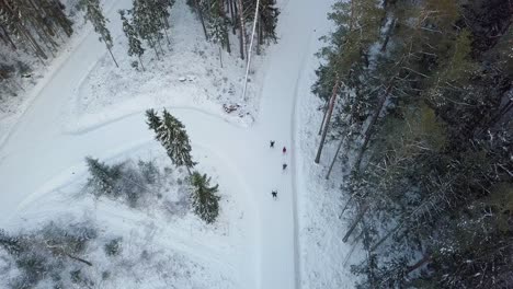 Aerial-static-shot-of-unrecognizable-people-in-classic-skiing-style