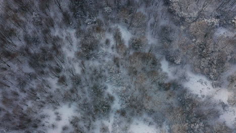 Winter-in-Krakow,-Poland---Aerial-view-of-Kosciuszko-Mound