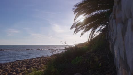 Static-shot-of-beach-waves-and-palm-tree-at-Mijas,-south-of-Spain