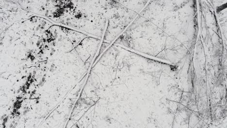 Looking-down-on-fresh-footprints-in-a-thin-layer-of-snow-covering-dead-trees,-aerial-god-view