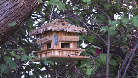 A-beachcombers-beach-bar-hut-birdhouse-hangs-in-a-tree