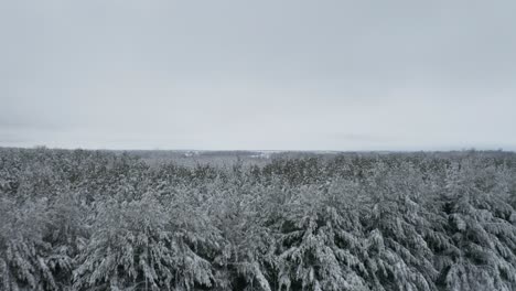 Fresh-snow-covers-open-farm-field-and-weighs-down-branches-of-trees