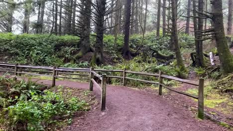 First-person-view-along-path-leading-to-Heceta-Lighthouse,-Oregon