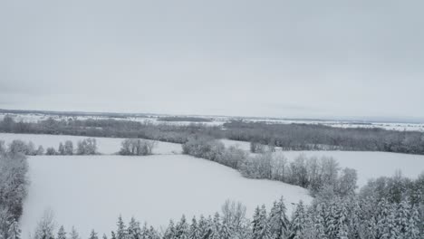 Blanket-of-fresh-snow-on-trees-and-fields-in-winter-seen-from-drone-flying-overhead