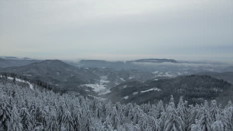 Slowly-reveal-scenic-winter-landscape,-pedestal-shot,-Germany