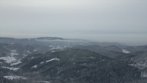 Mystic-winter-day-at-snowy-forest,-aerial-shot