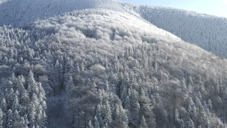 Aerial-Shot-Of-Mountain-Forest-Environment-Covered-In-Winter-Snow,-Frozen-Winter-Wonderland