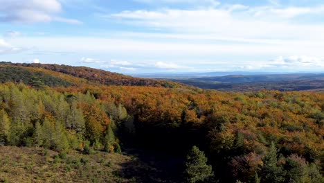 Spinnig-sideways-Arial-view---High-cinematic-drone-flight-over-some-trees-in-autumn-forest-and-a-blue-sky