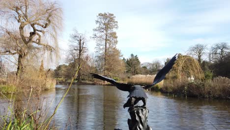 Regents-park-London-sunny-winters-day-eagle-statue-in-lake