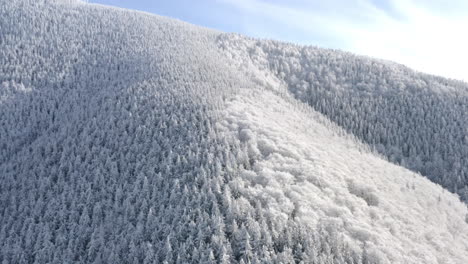 Luftaufnahme-Der-Bergwildnislandschaft,-Die-Im-Winter-Mit-Schnee-Bedeckt-Ist,-Schönes-Ziel