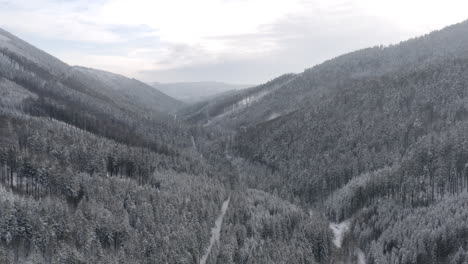 Verschneite-Wälder,-Die-Ein-Tiefes-Bergtal-Bedecken,-Winterlandschaft,-Tschechien