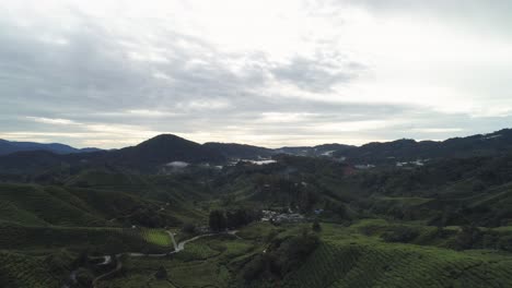 Tropical-Cameron-Highlands-with-green-slopes-and-tea-plantations,-cloudy