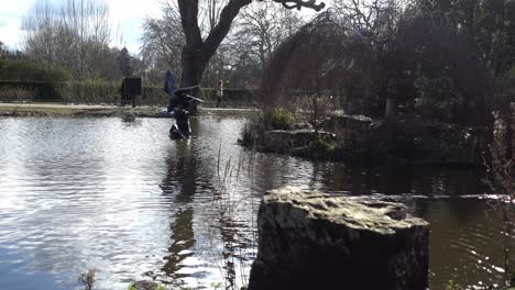Goose-sitting-on-tree-stump-Regents-park-London-sunny-winters-day