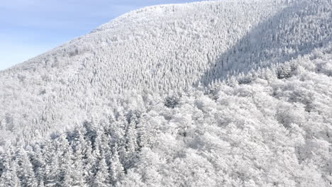 Aerial-Shot-Of-Natural-Mountain-Forest-Landscape-During-Winter,-Trees-White-Snow-Capped