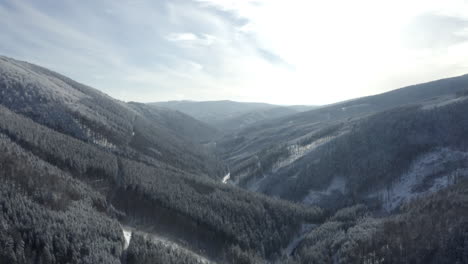 Luftaufnahme-Der-Wunderschönen-Borealen-Waldwildnis-Im-Winter,-Schneebedeckte-Bäume-Und-Berge
